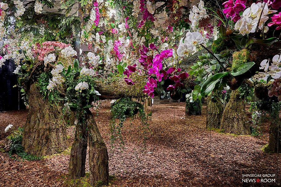 imw7jk4697snif1s9ne3t8o11nwx