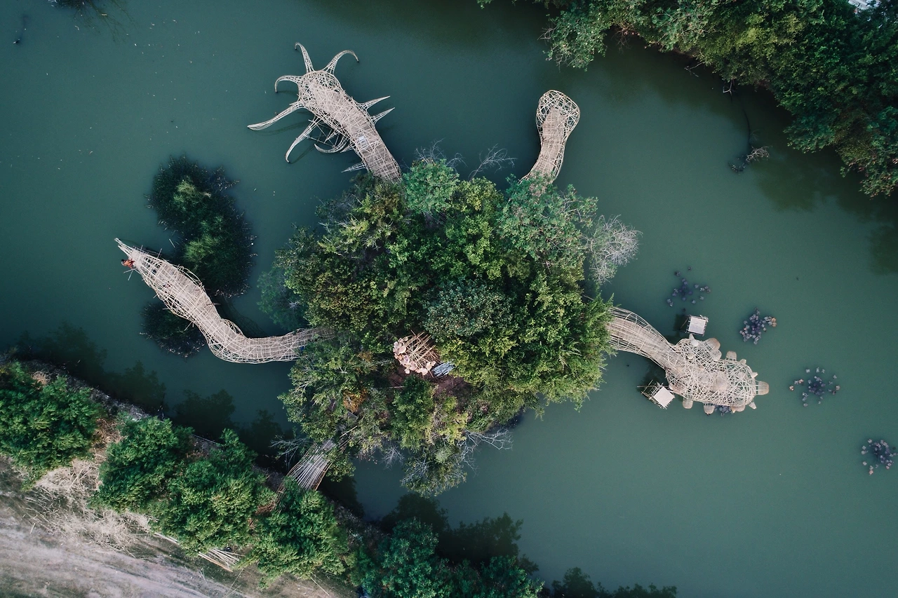Wonderfruit_Festival_2017_courtesy_of_aerial_shot_mangroves.JPG