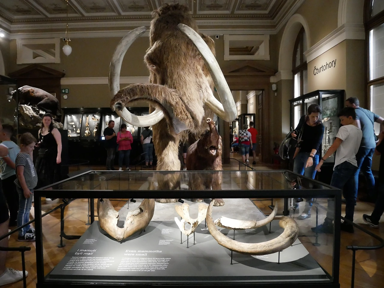 07_Prague_National Museum.JPG