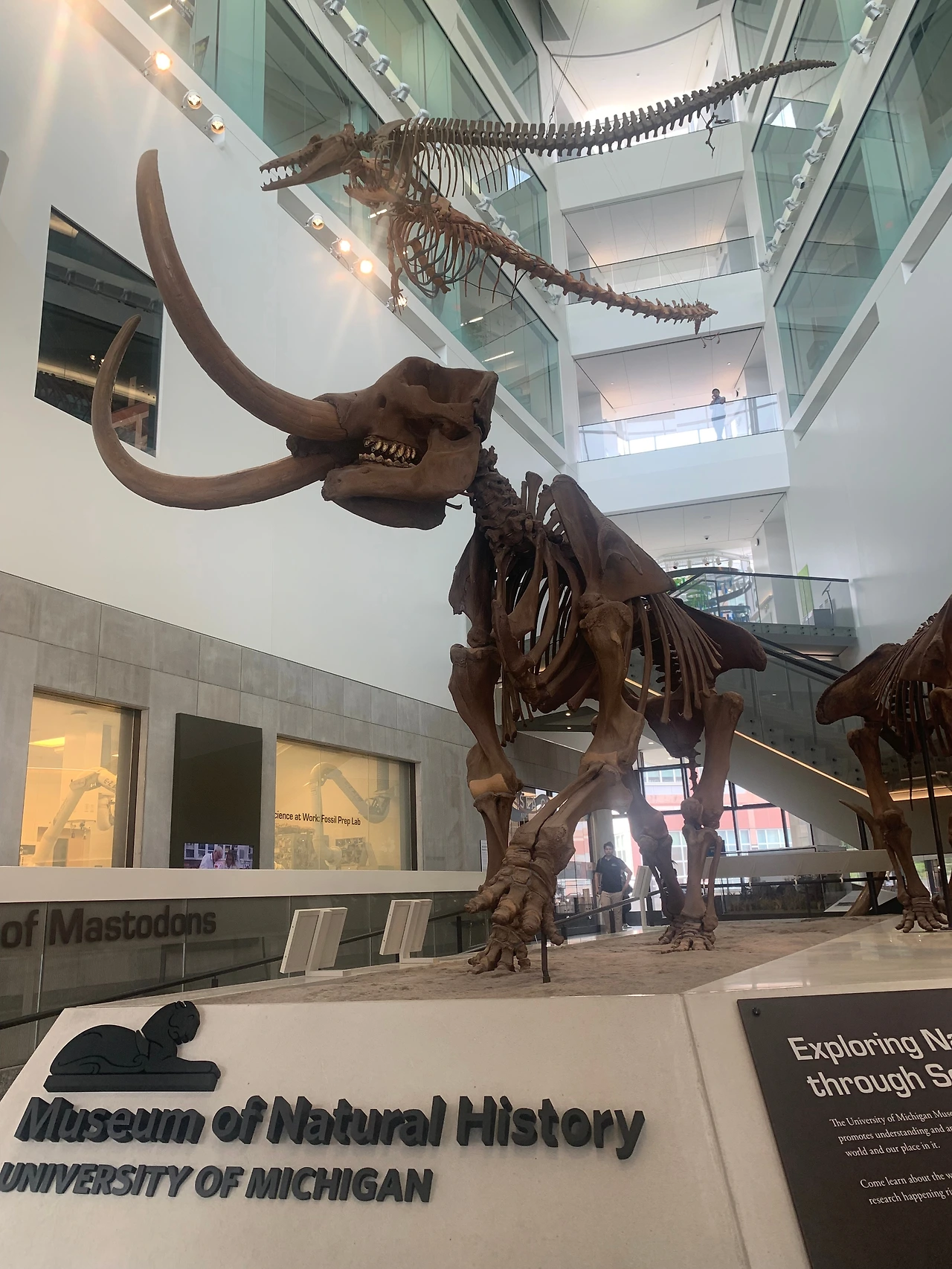 06_Museum of Natural History University of Michigan.jpeg