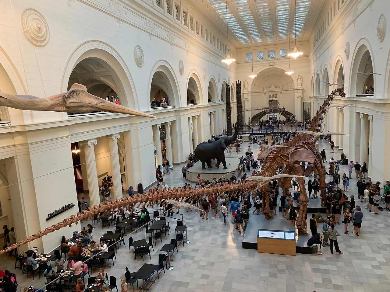 07_FieldMuseum.jpeg