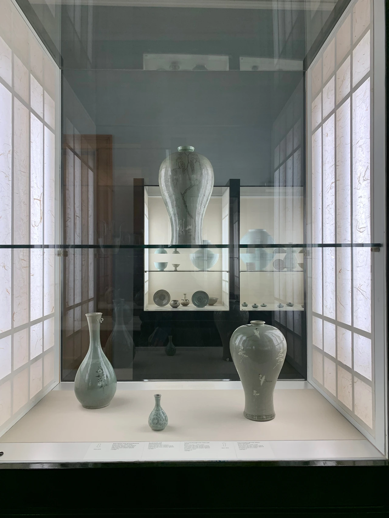 10_Fitz_Korean collection.jpeg