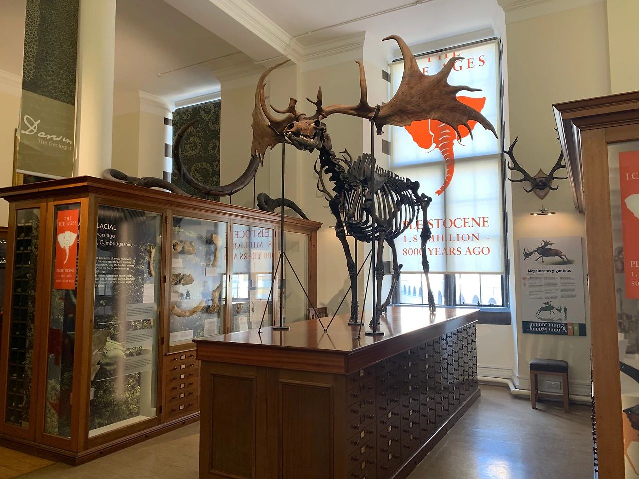 03_Sigewick Earth Science Museum.jpeg