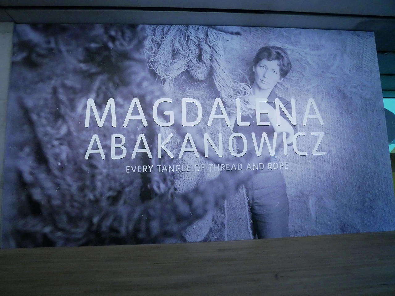 12_Magdalena Abakanowicz.JPG