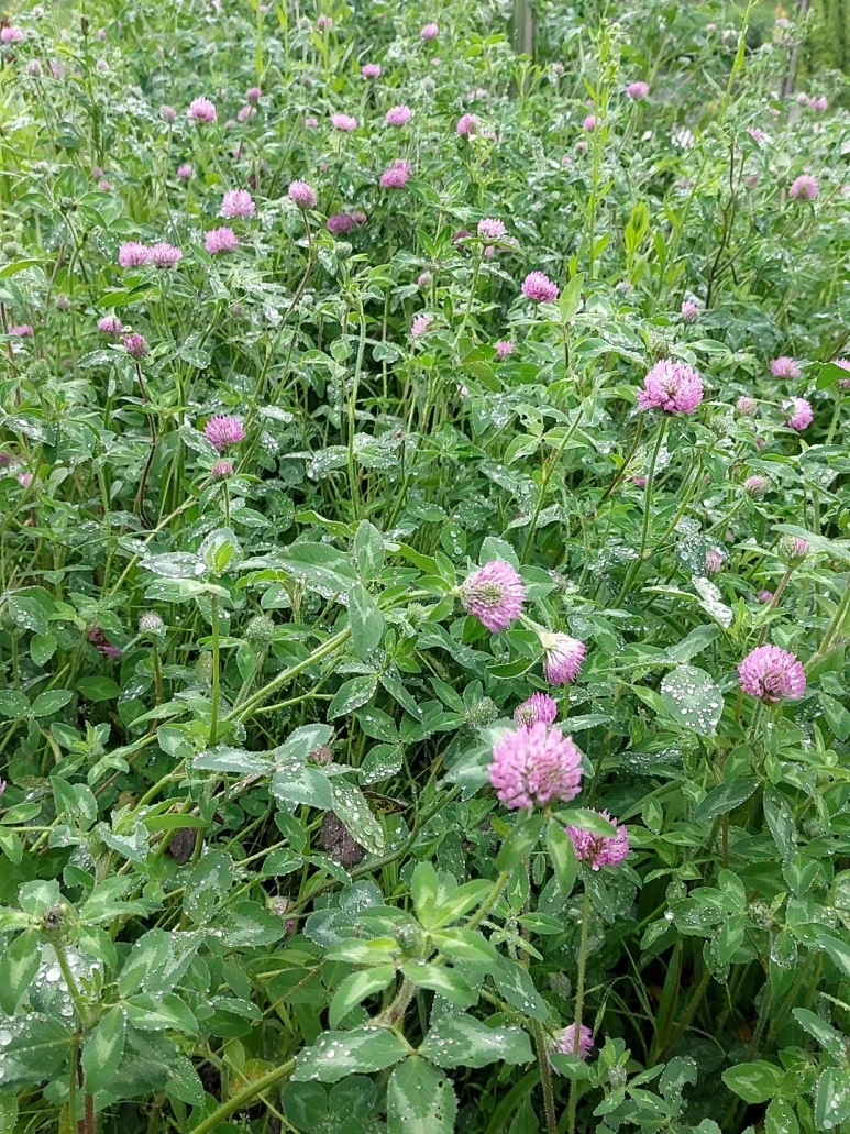 %EB%B9%84%EC%98%A4%EB%8A%94_%EB%82%A02.jpg?type=w773