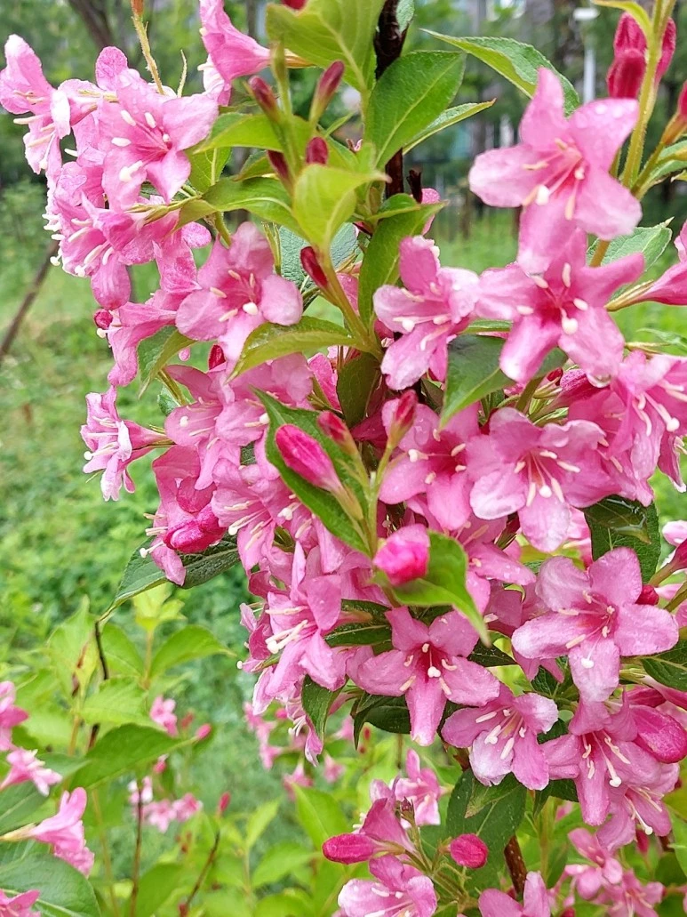 %EB%B9%84%EC%98%A4%EB%8A%94_%EB%82%A03.jpg?type=w773