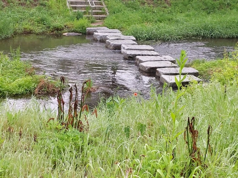 %EB%B9%84%EC%98%A4%EB%8A%94_%EB%82%A08.jpg?type=w773