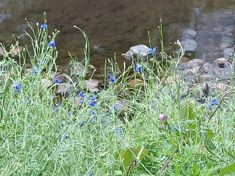 %EB%B9%84%EC%98%A4%EB%8A%94_%EB%82%A05.jpg?type=w773