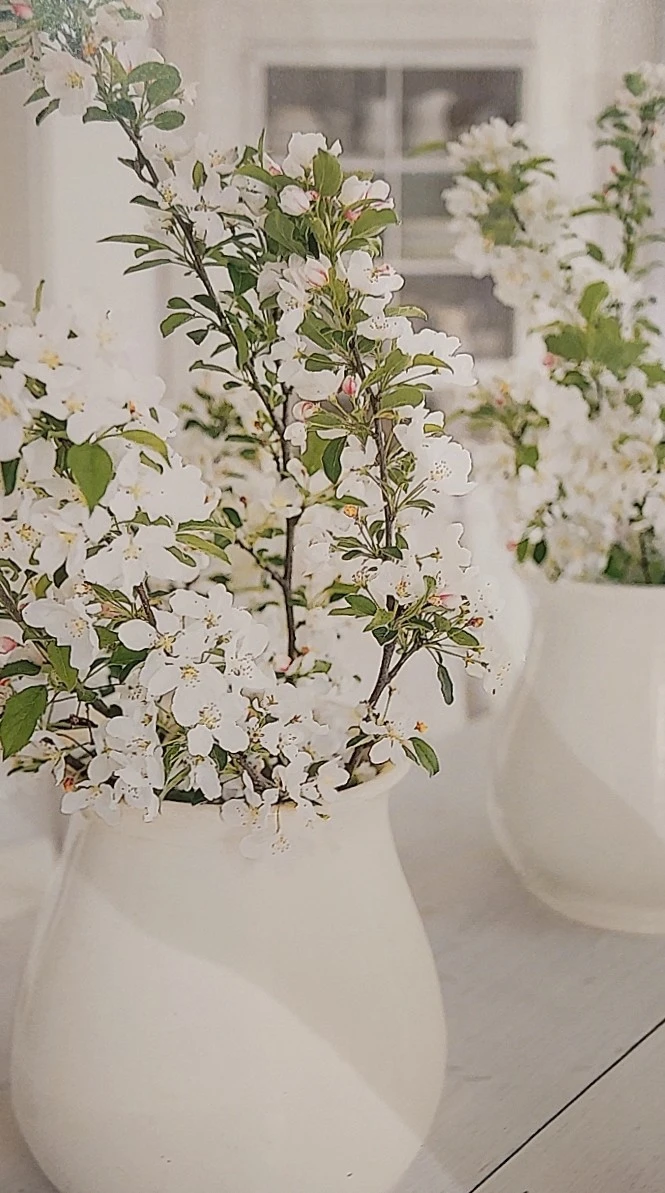 1652672148615.jpg?type=w1