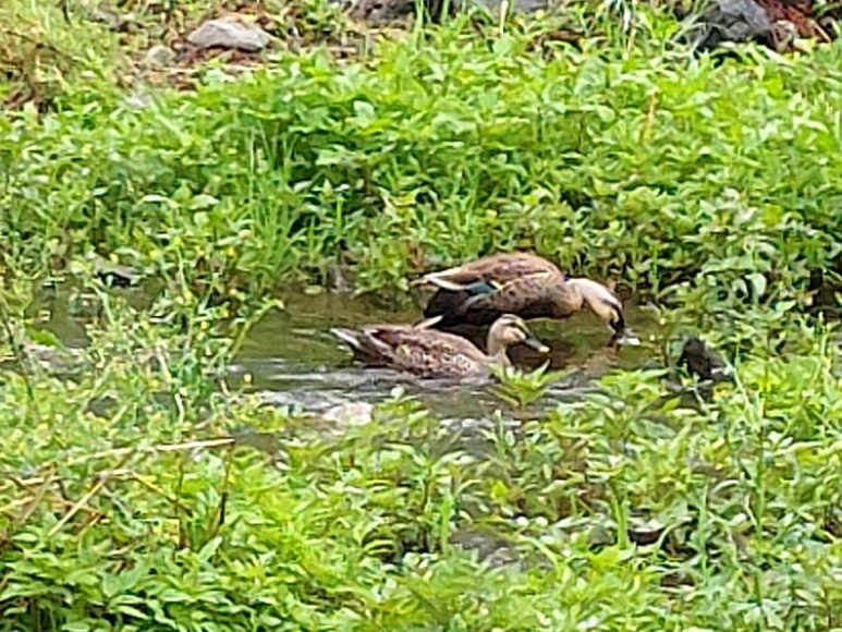 %EB%B9%84%EC%98%A4%EB%8A%94_%EB%82%A0.jpg?type=w773