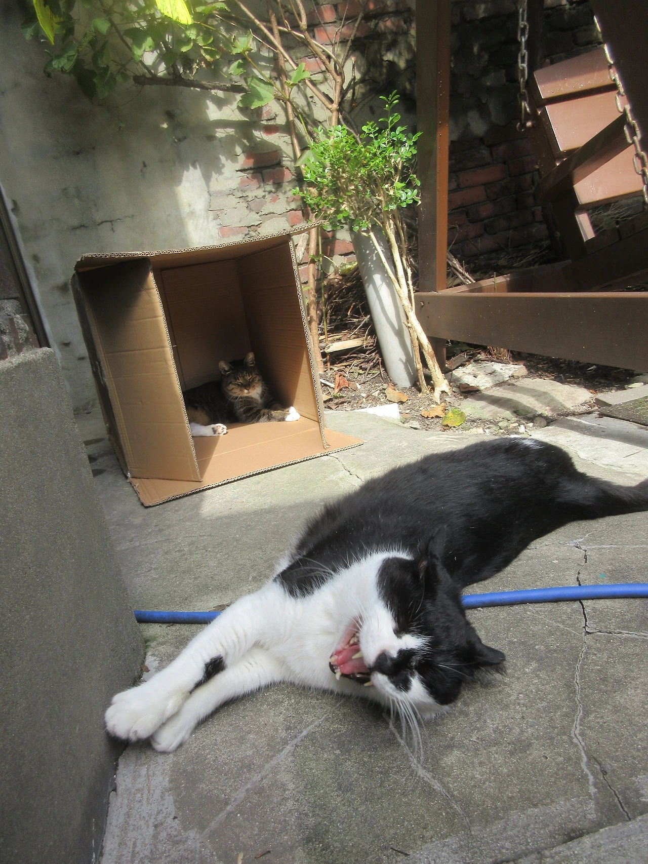 1_251027_은액목걸이박스3 (15).JPG