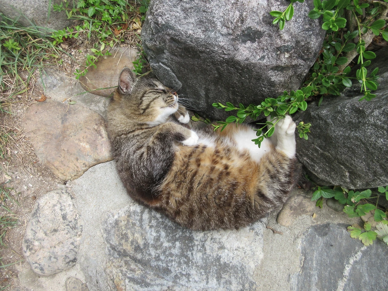 1목걸이_시끄러_230606 (50).JPG