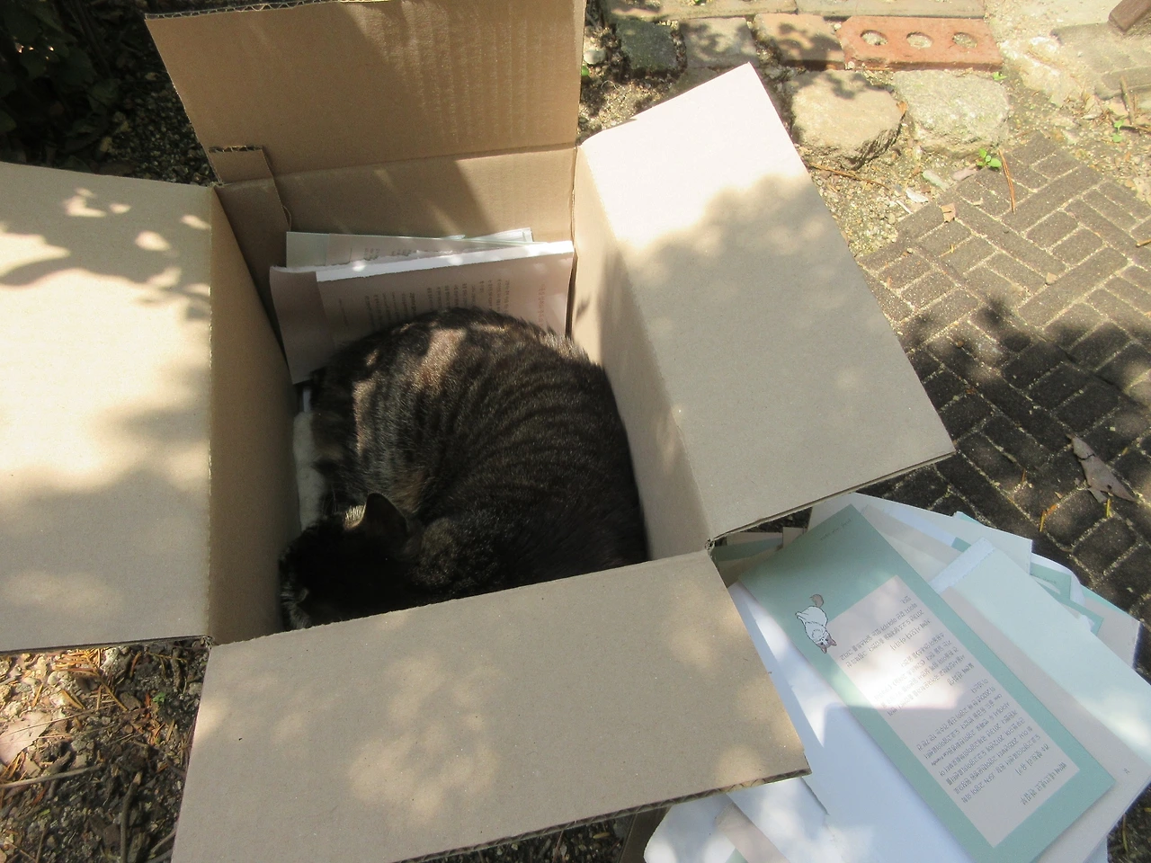 1목걸이2_고양이손_230505 (87).JPG