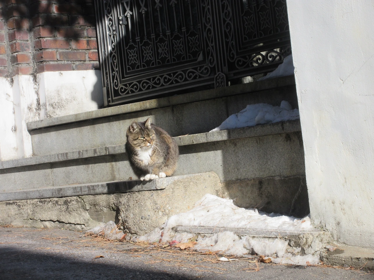 1작은귀_목걸이2_팽팽하기는_221228 (63).JPG