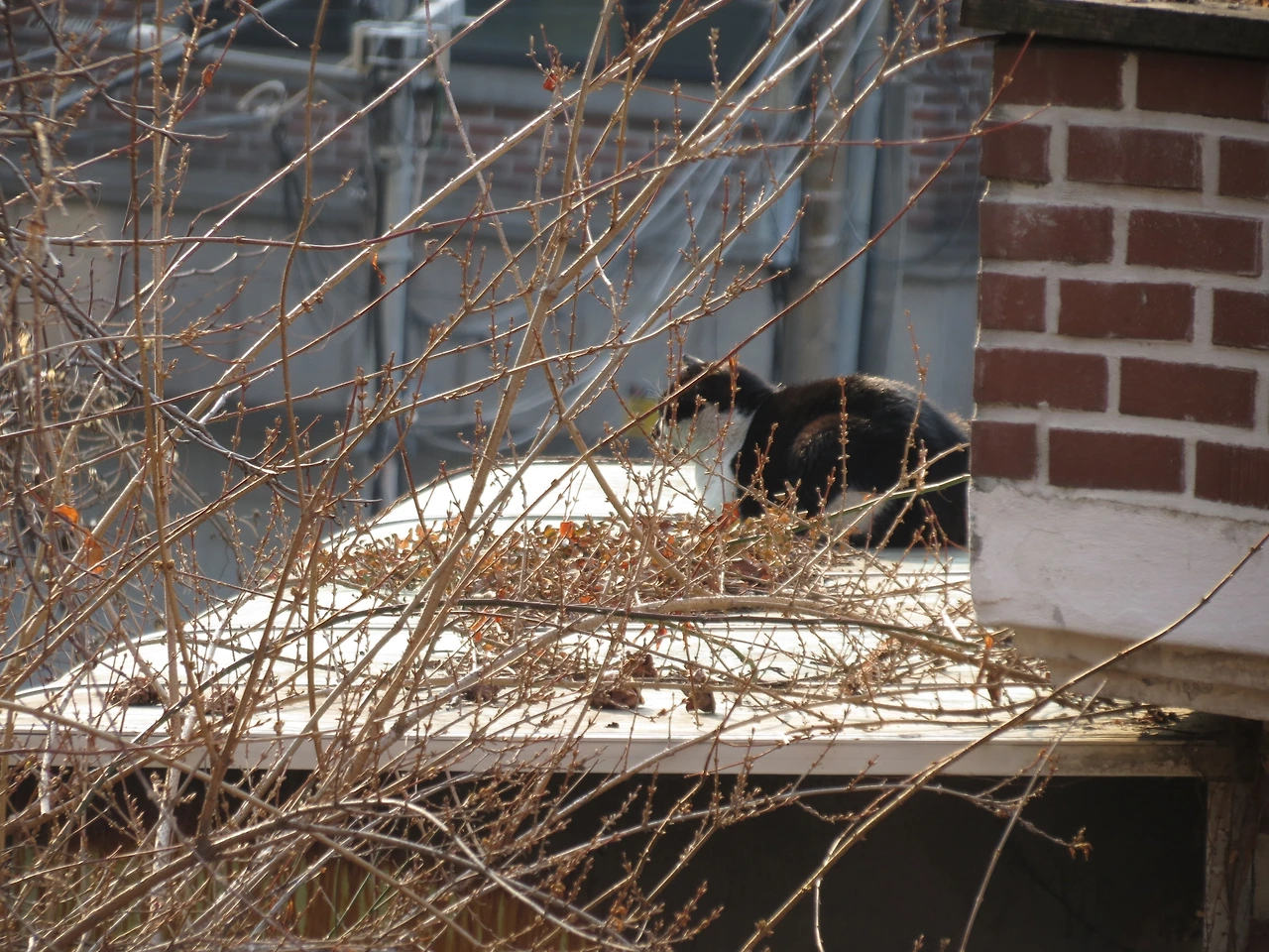 은얘_멀다_230204 (5).JPG