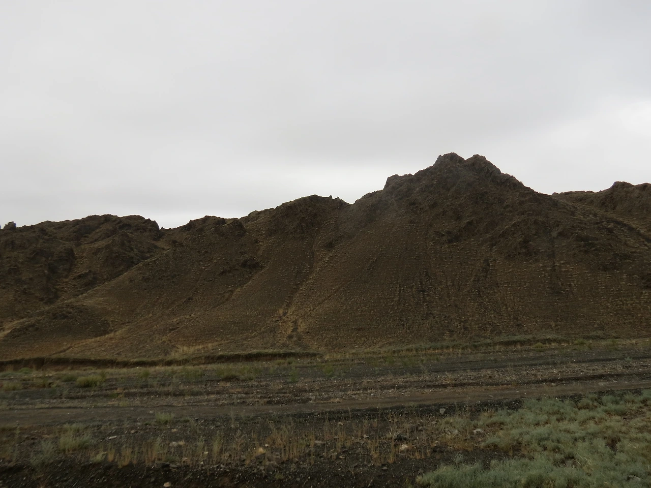 야생염소4_220823 (30).JPG