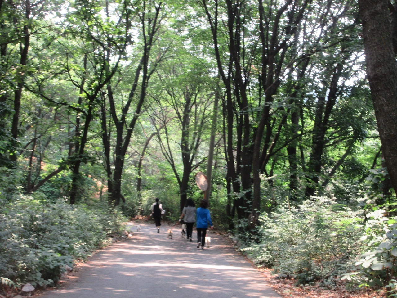 1_보호소봉사3_170618 098.JPG