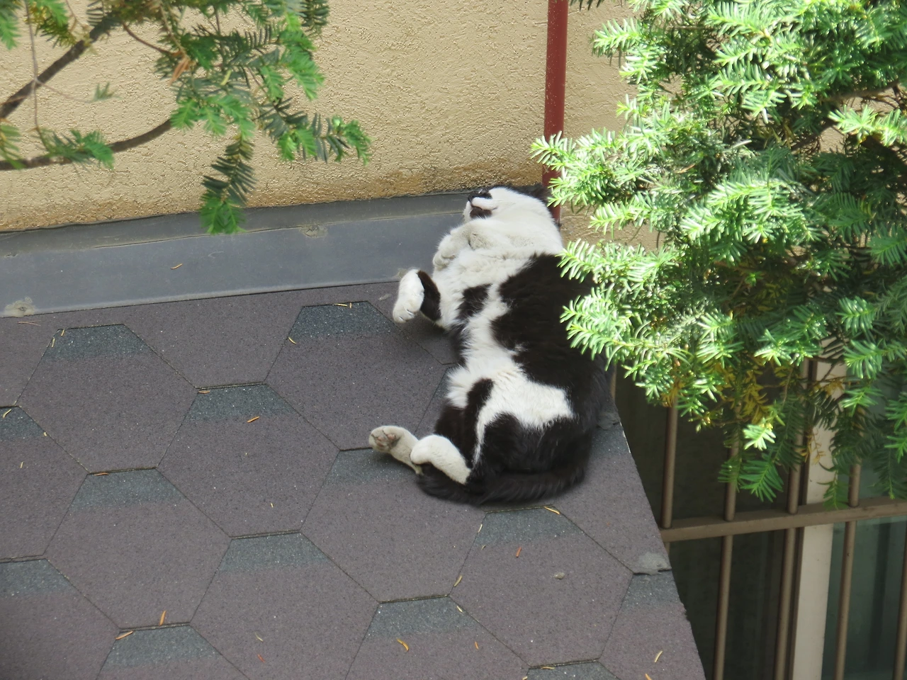 [mix]은애_떨어진다_220513 (33).JPG