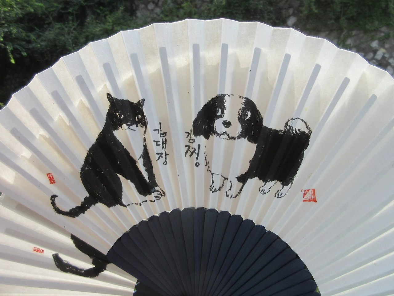 출판사개와고양이1_찡이랑대장_230721 (171).JPG