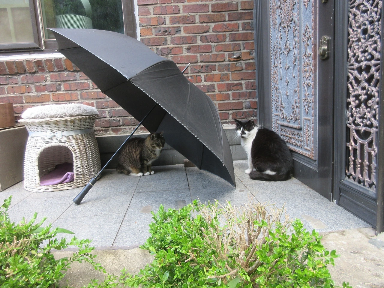 1_은애_목걸이_우산240512 (269).JPG