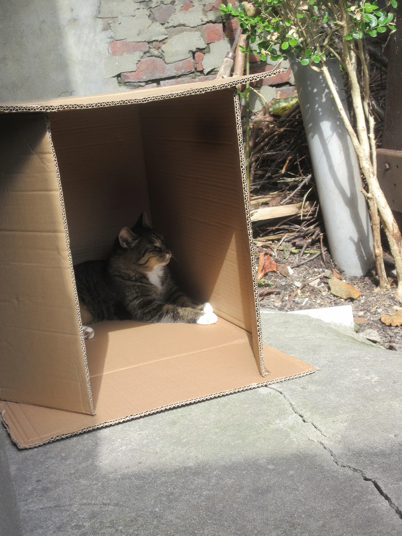 1_251027_은액목걸이박스5 (13).JPG