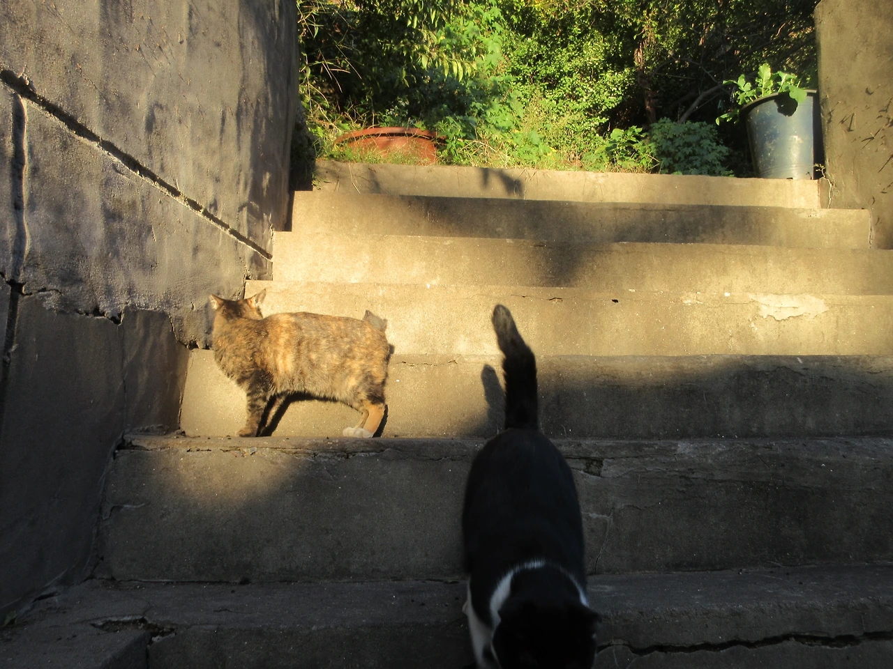 은애_작은귀_이른저녁밥_221019 (165).JPG