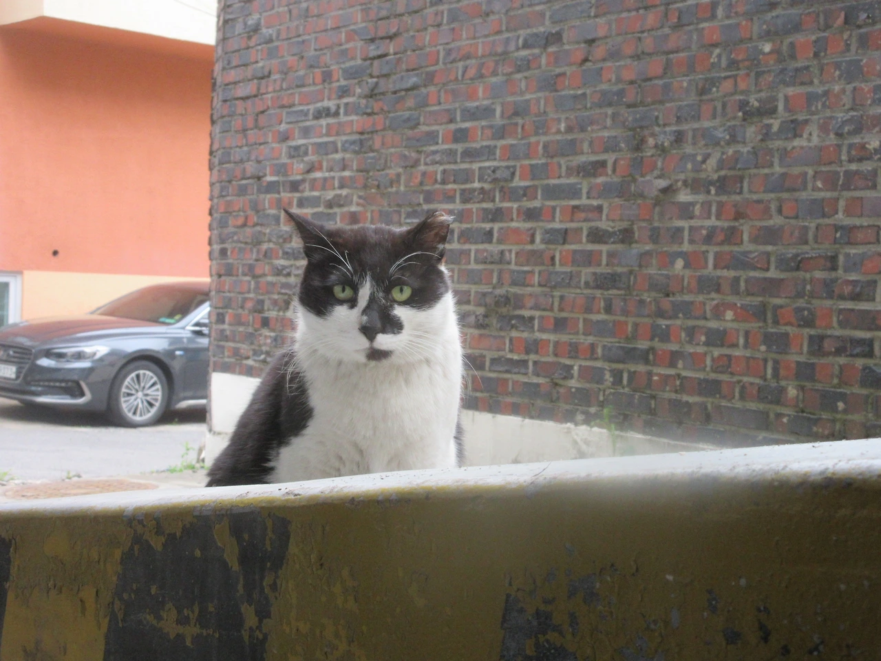 은애_놀랐어_220421 (22).JPG