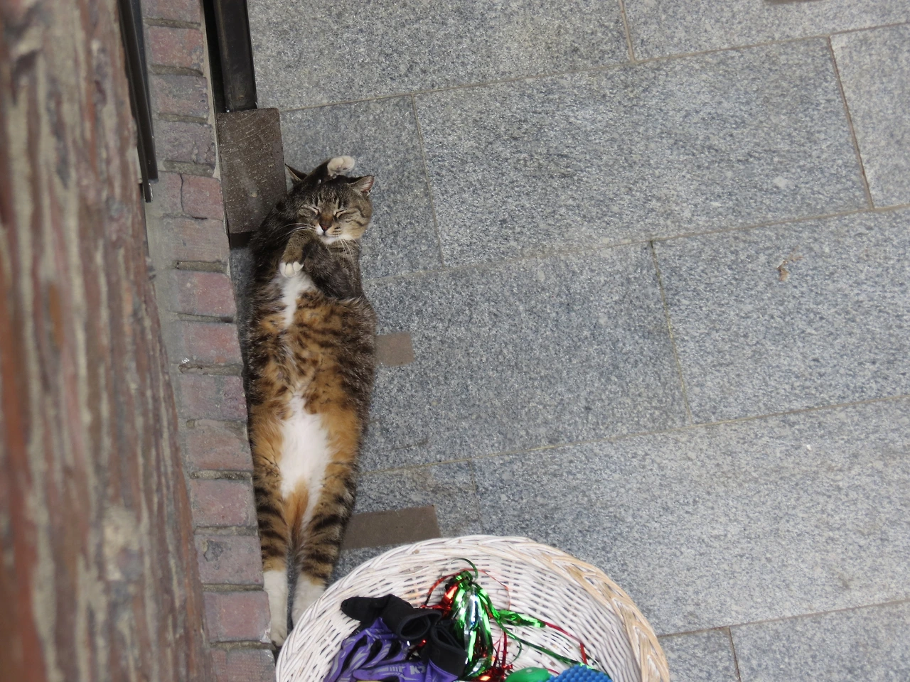 목걸이_220513 (42).JPG