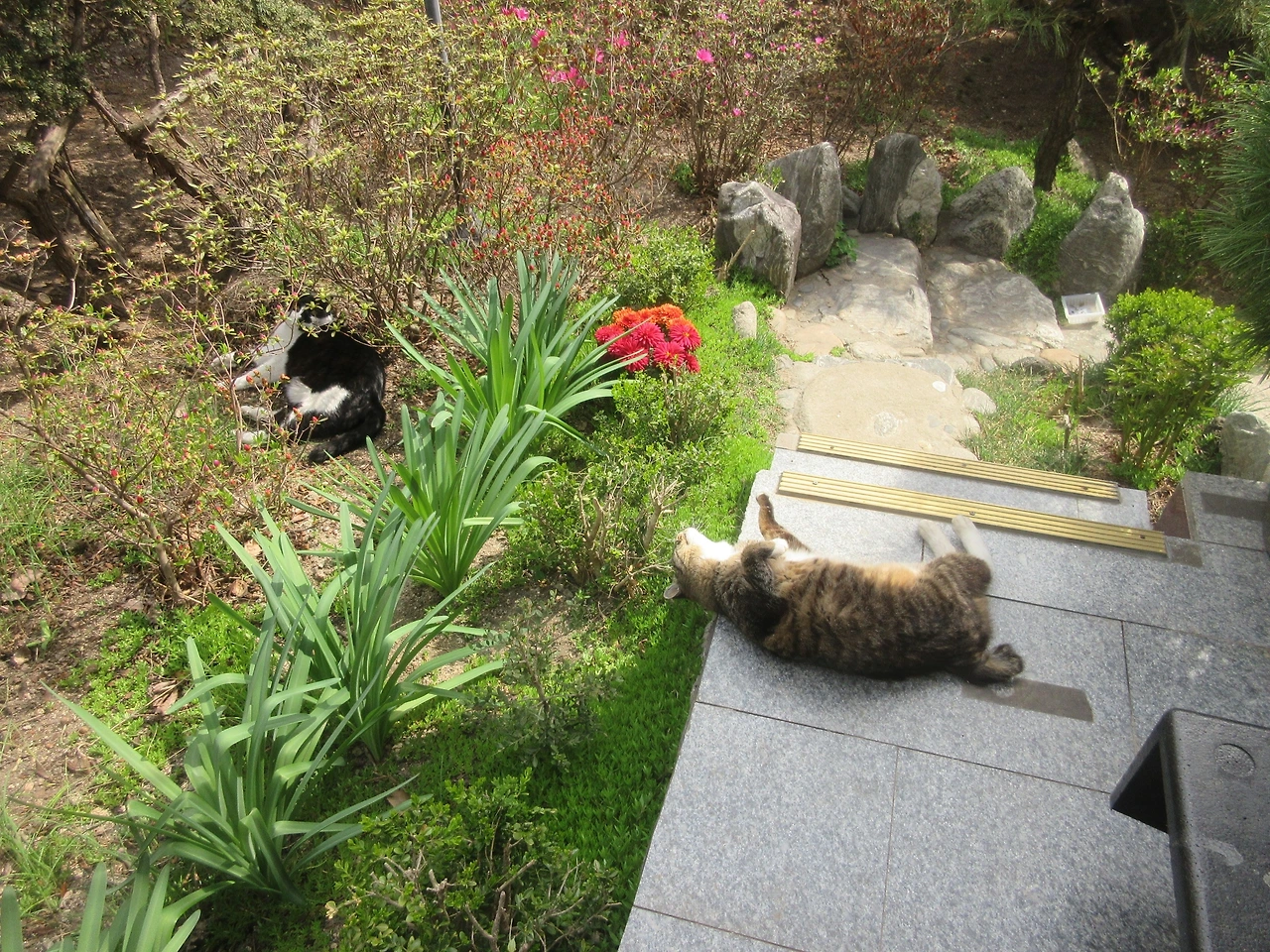 1은애_목걸이_봄날1_240408 (202).JPG