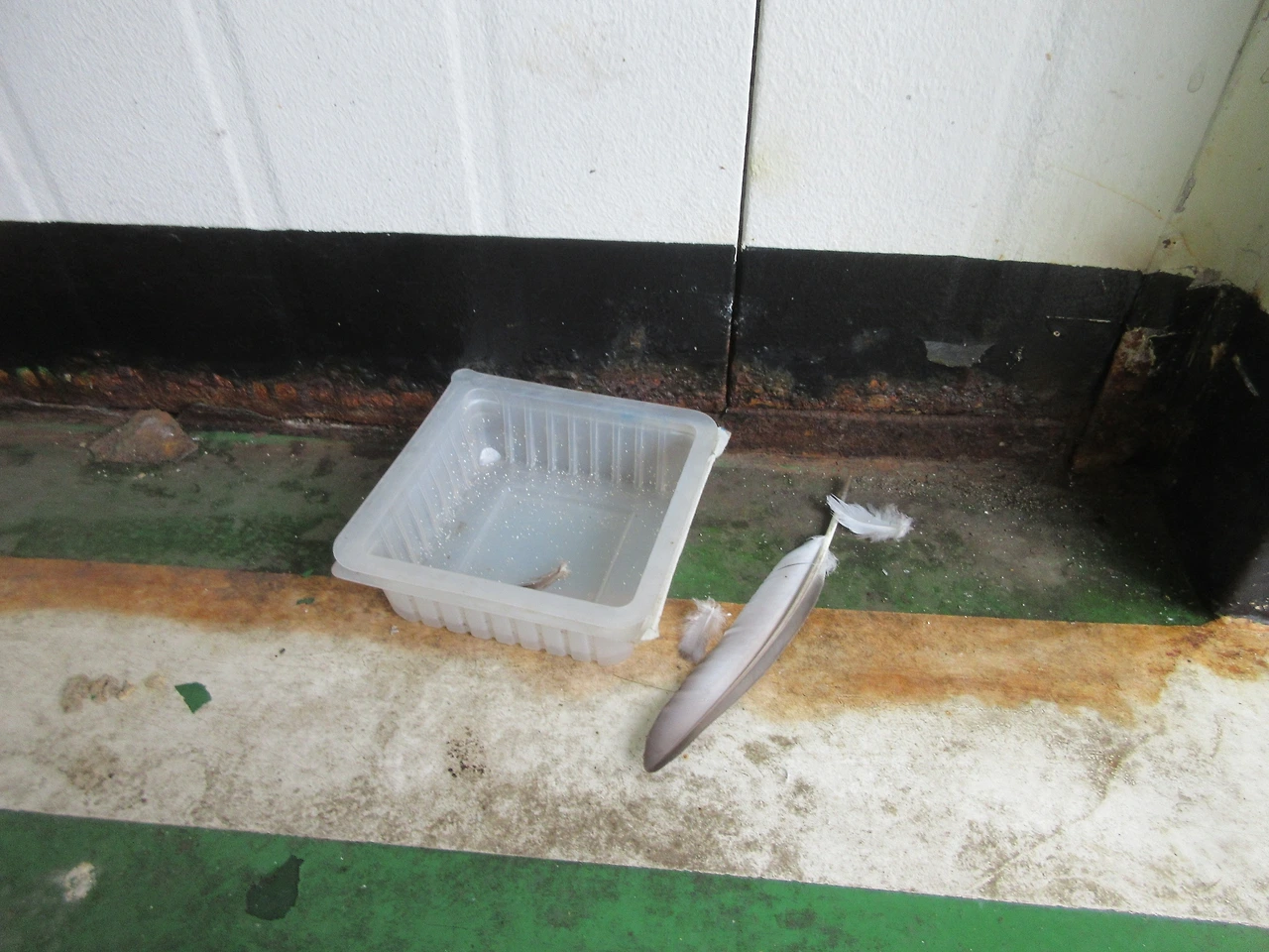 1누구냐_새잡은게1_220906 (25).JPG