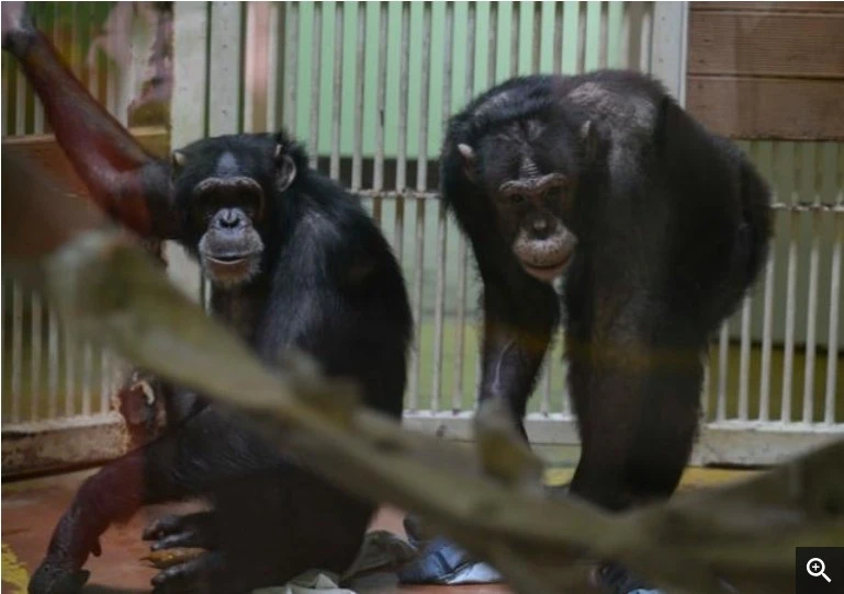 0_%EA%B4%91%EB%B3%B5%EC%9D%B4%EA%B4%80%EC%88%9C%EC%9D%B4_2025_%EA%B0%95%EC%98%88%EC%A7%84%EA%B8%B0%EC%9E%90%ED%95%9C%EA%B5%AD%EC%9D%BC%EB%B3%B4.JPG?type=w1