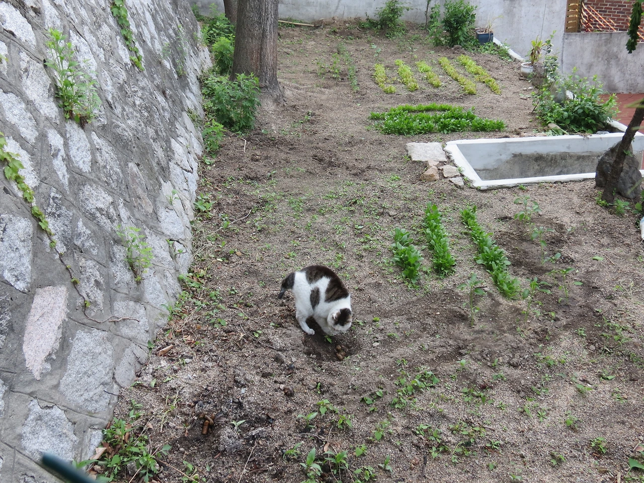 민호_화장실3_160506 006.JPG