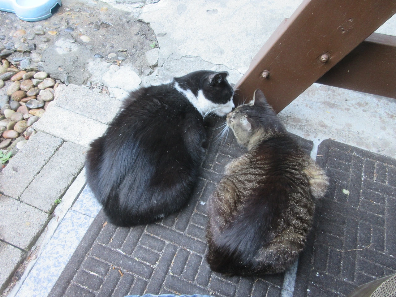 1_은애_묵걸이_사이가3_240612 (3).JPG