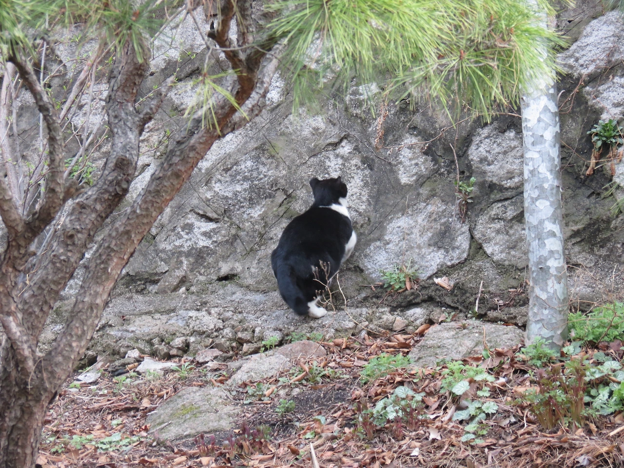 1은애_집들어오자3_220327 (26).JPG