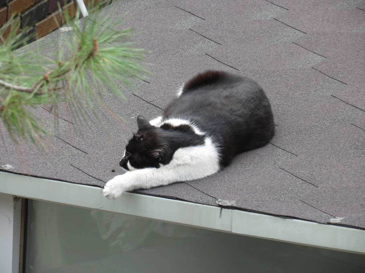 1은얘_작은귀를찾아서_230326 (54).JPG