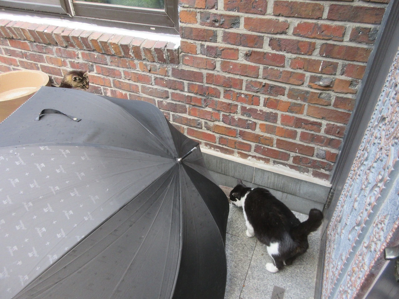 1_은애_목걸이_우산240512 (252).JPG