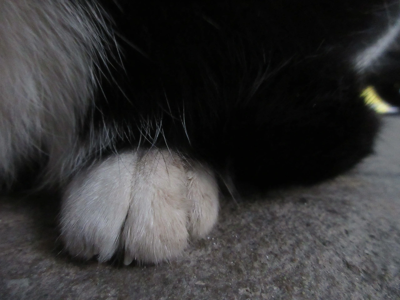 1_은애_발4_221128 (38).JPG