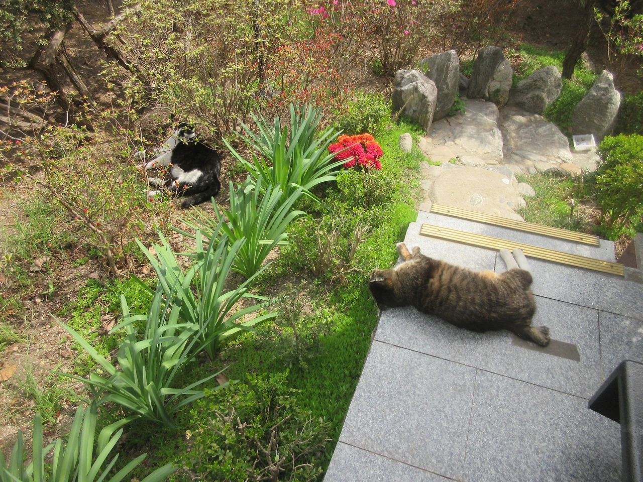 1은애_목걸이_봄날2_240408 (201).JPG