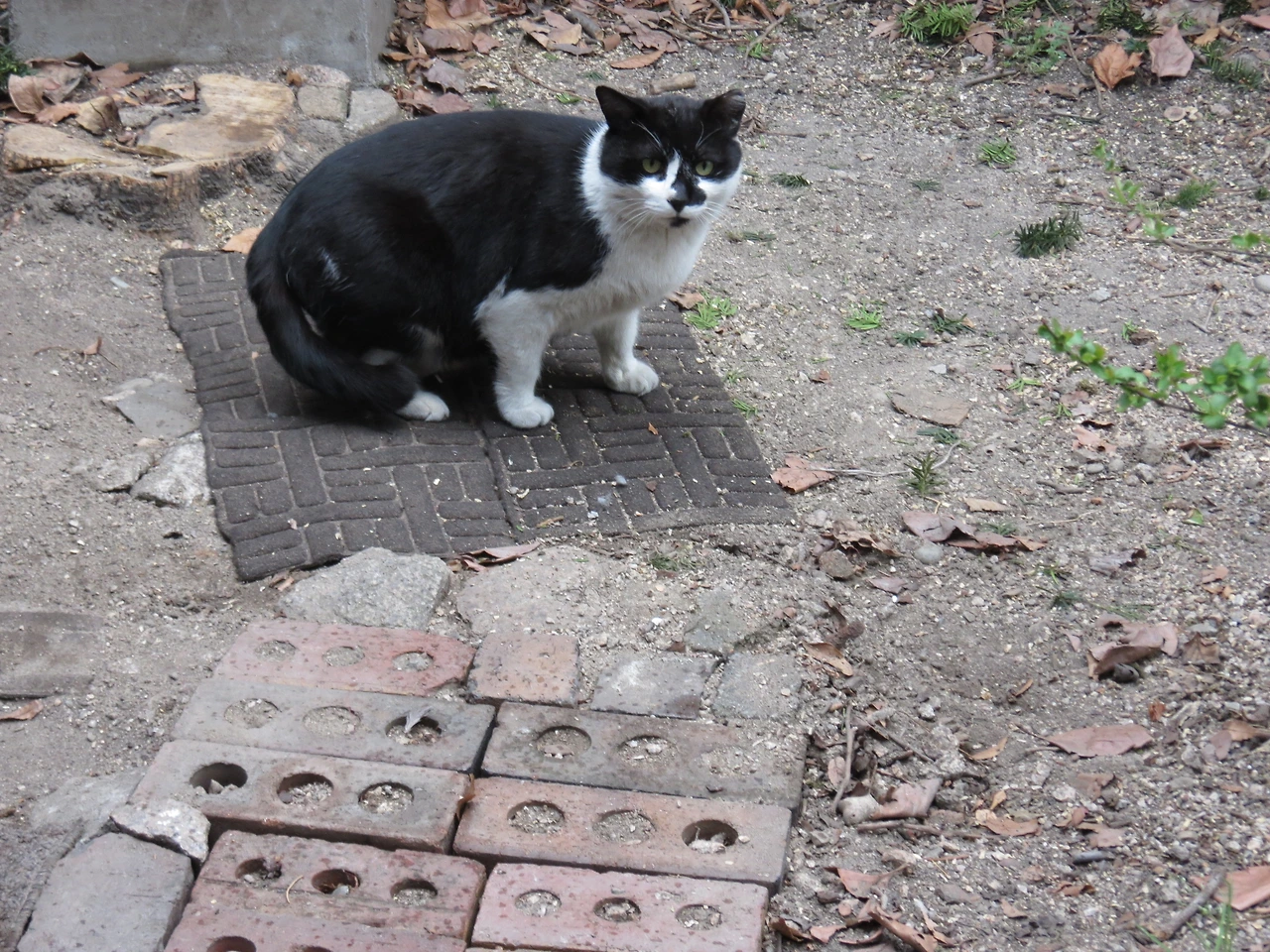 1은얘_작은귀를찾아서_230326 (20).JPG