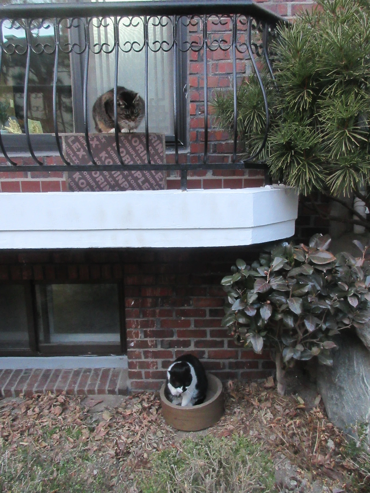 1_은애_목걸이_마당_240311 (57).JPG