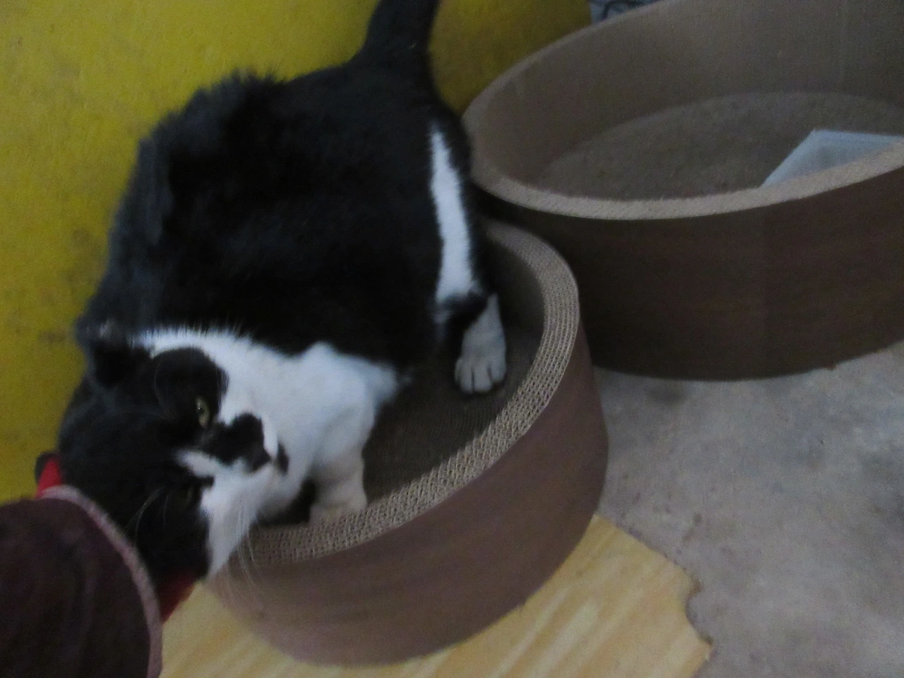 1_은애_쓰담3_240210 (122).JPG