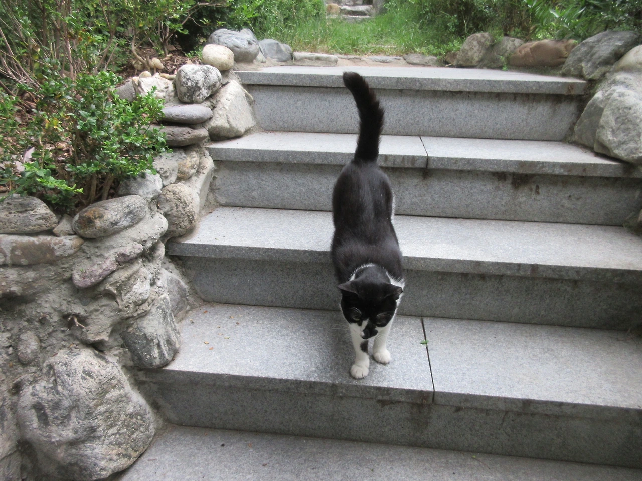 은애_무서웠지3_220713 (146).JPG