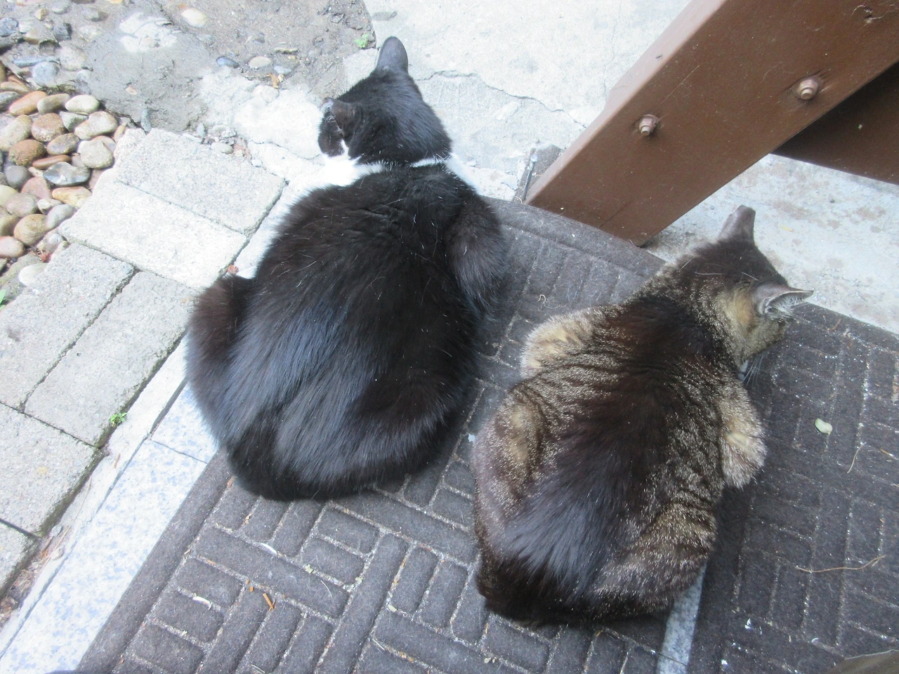 1_은애_묵걸이_사이가5_240612 (10).JPG