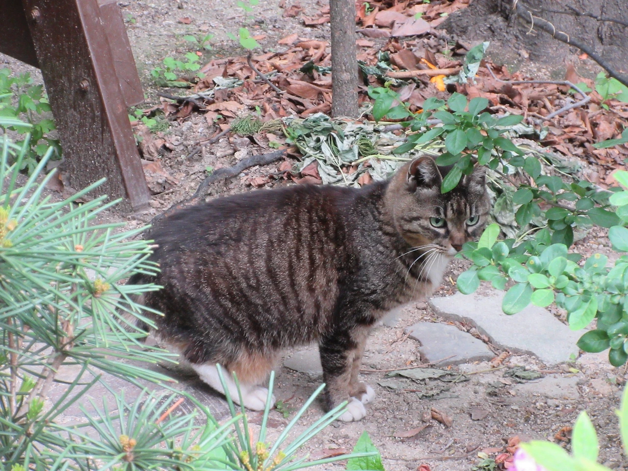 목걸이_왜_220510 (22).JPG