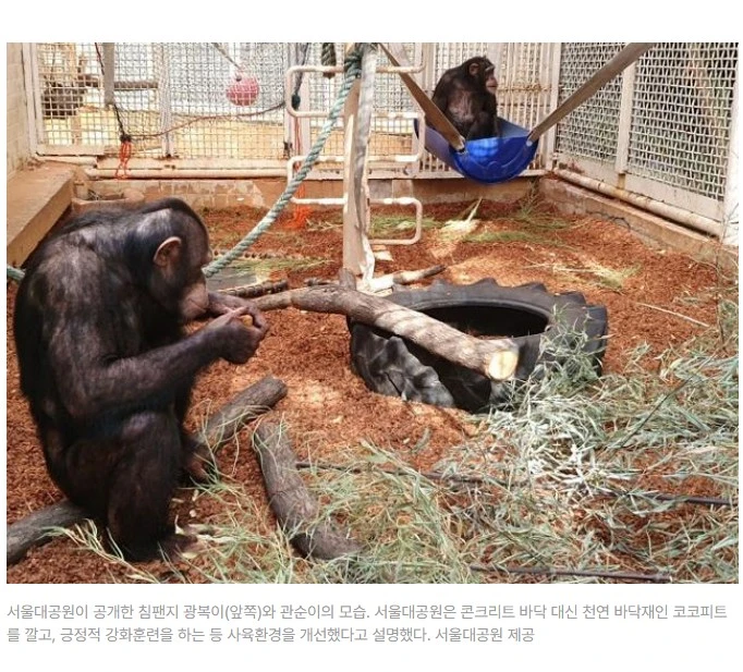 1_2309현황1_Screenshot 2023-09-23 at 20.34.31.JPG