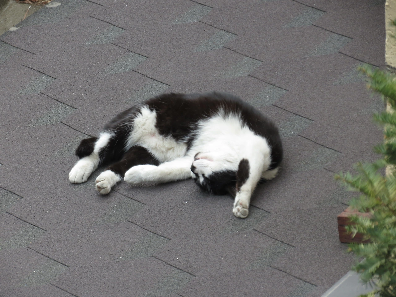 1은얘_작은귀를찾아서_230326 (68).JPG