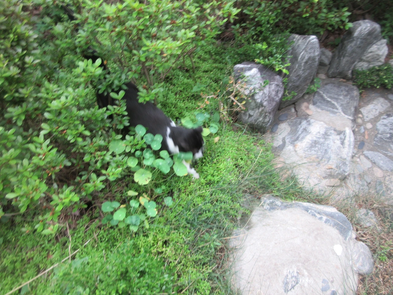 은애_무서웠지1_220713 (139).JPG