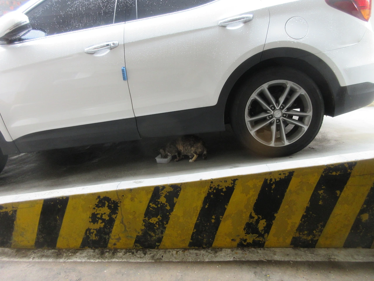 집중호우_은애_작은귀4_축대붕괴_220701 (28).JPG