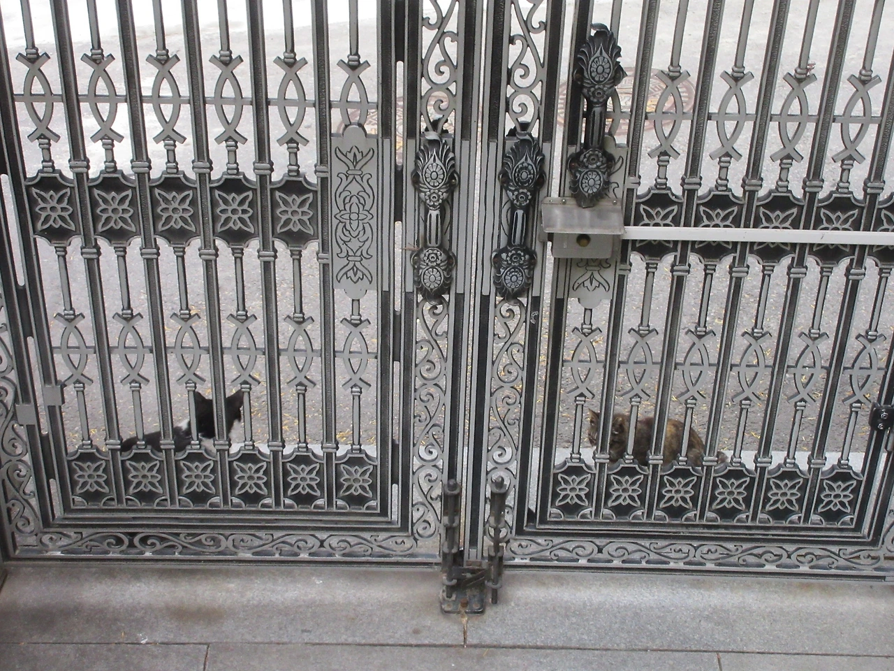 목걸이_싸웠어3_은애_작은귀220606 (88).JPG