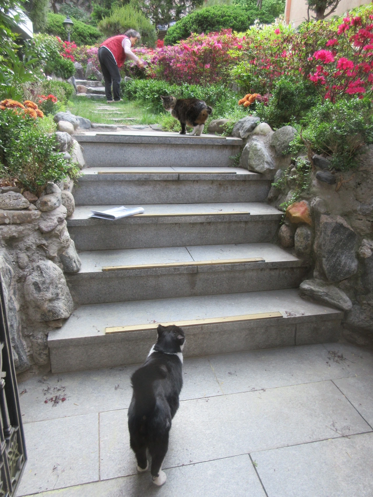 1_아침_엄마_은애_목걸이_240502 (24).JPG